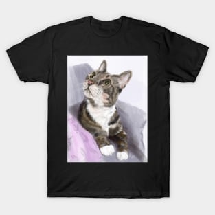 Kitty Sitting Pretty T-Shirt